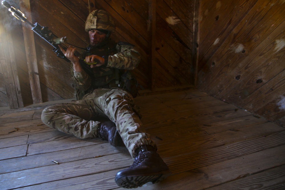 International forces simulate raids during Bold Alligator 2014