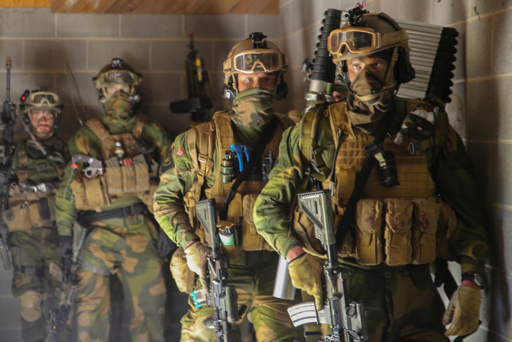International forces simulate raids during Bold Alligator 2014