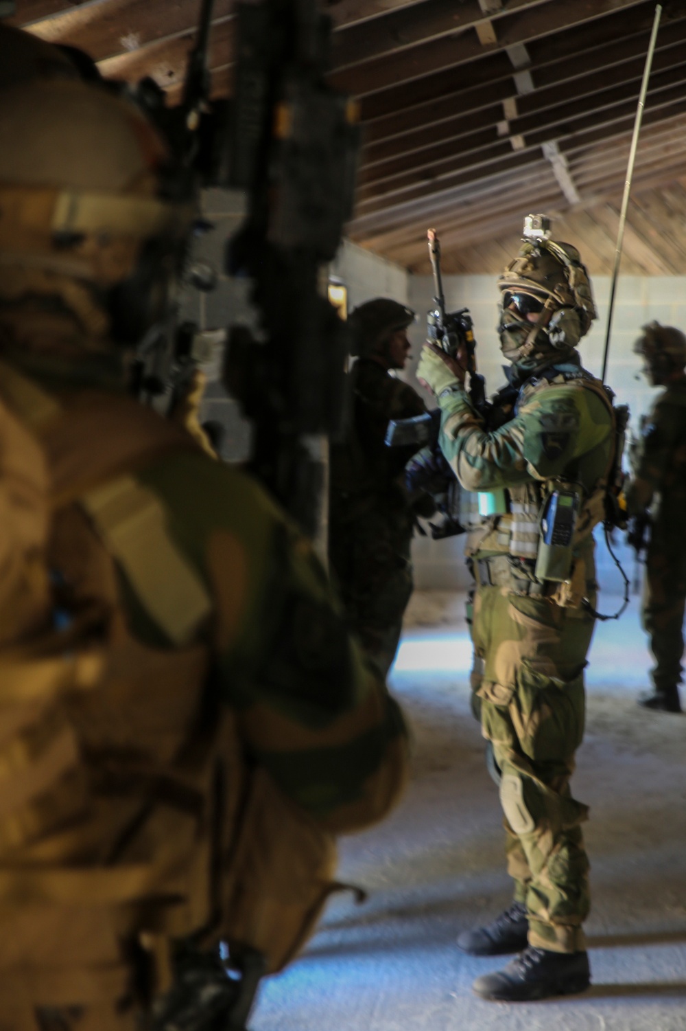 International forces simulate raids during Bold Alligator 2014