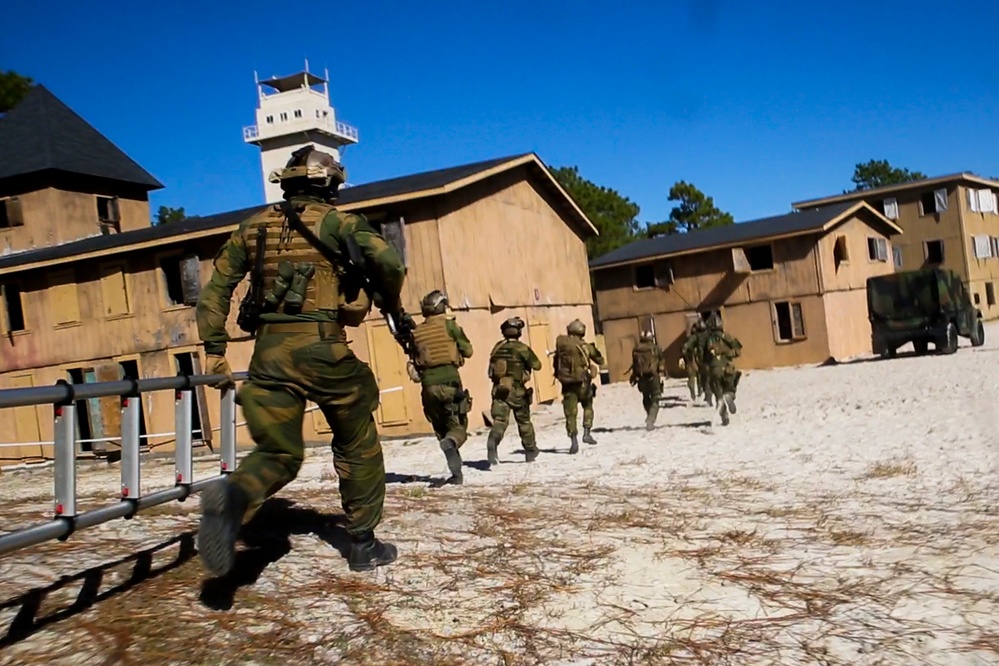 International forces simulate raids during Bold Alligator 2014