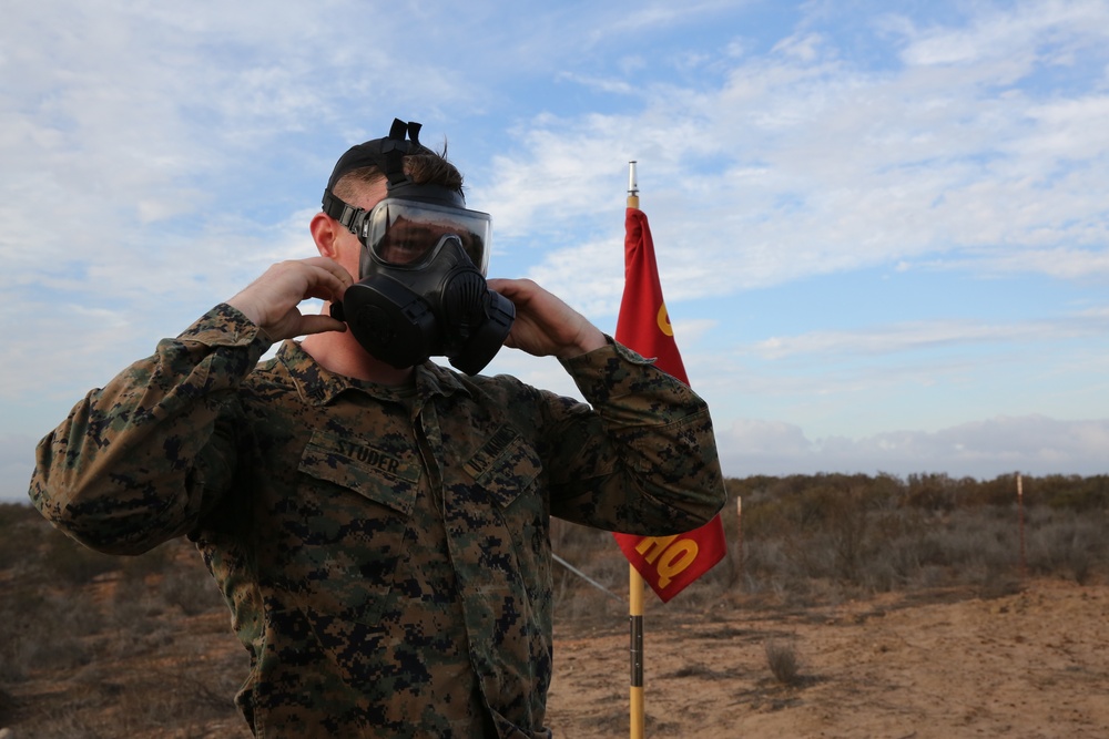 Marines of MWCS-38 use training to help celebrate birthday