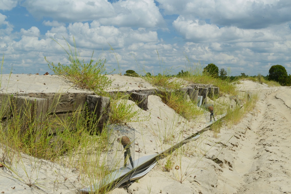 Poinsett Range: the training mission