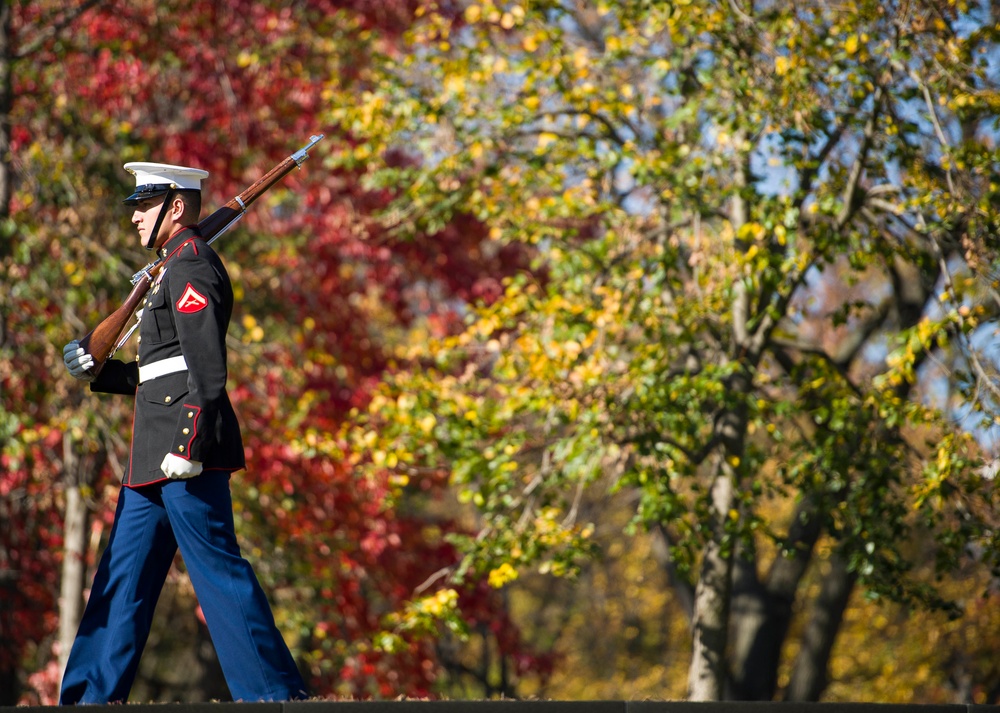 Veterans Day ceremony