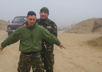 Platinum Wolf 15 in Serbia Demonstrates Collective Security