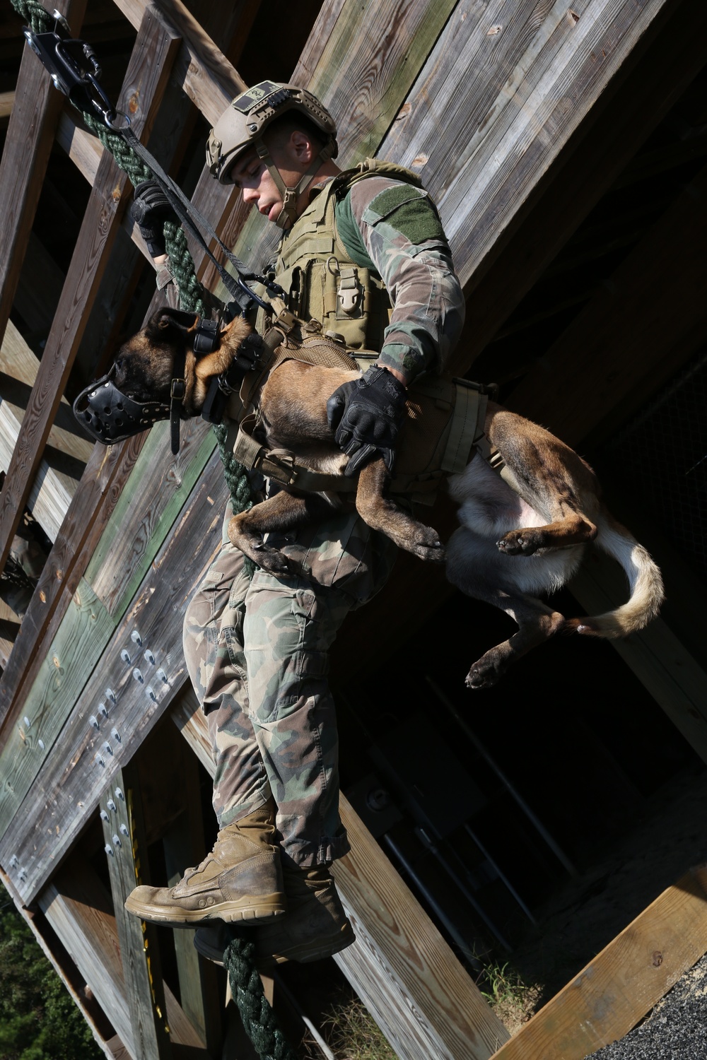 MARSOC Multi-Purpose Canines Handlers Train for the Unforeseen