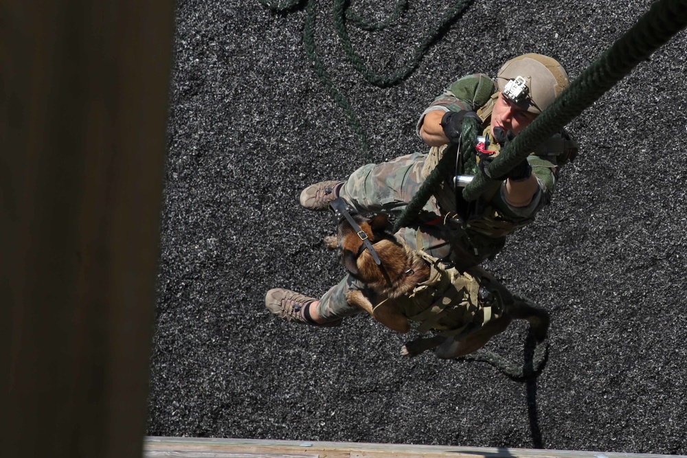 MARSOC Multi-Purpose Canine Handlers Train for the Unforeseen