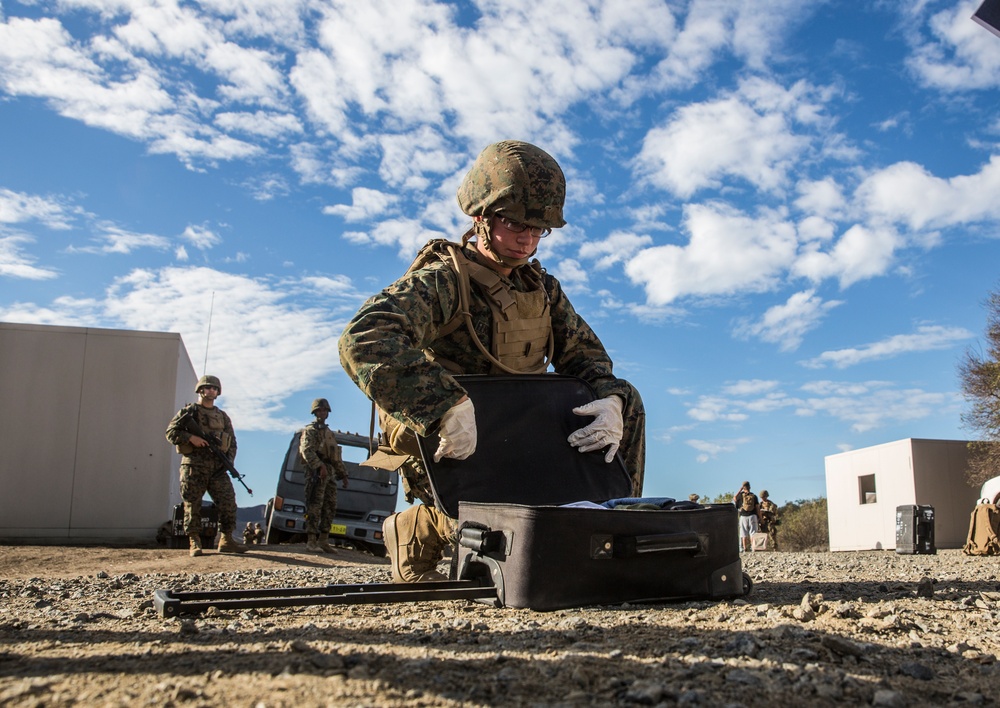 15th MEU Marines train for noncombatant evacuation operations