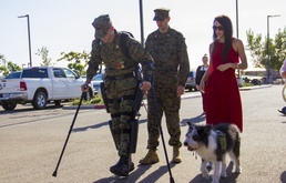 MARSOC Marine Retires, Receives Bronze Star Medal