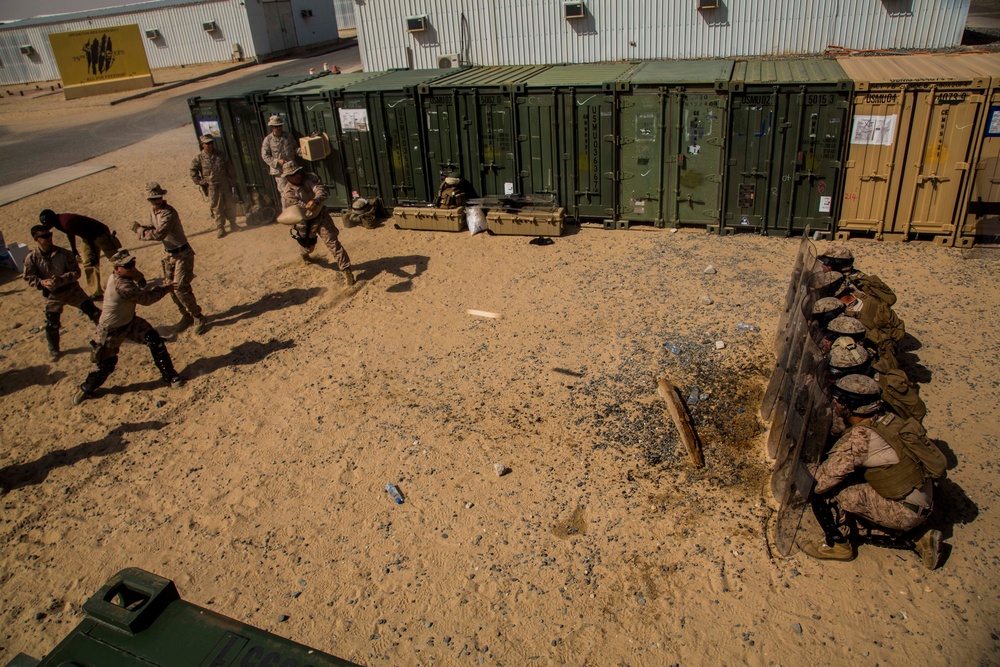 15.1 - Non-Lethal Weapons Training