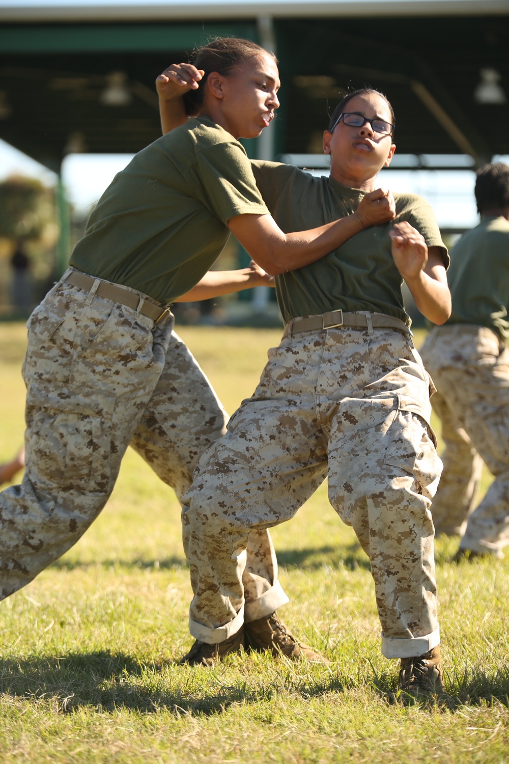 Photo Gallery: Parris Island recruits immersed in Marine martial arts