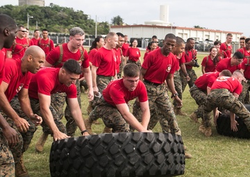 3rd Intel comes together for battalion field meet