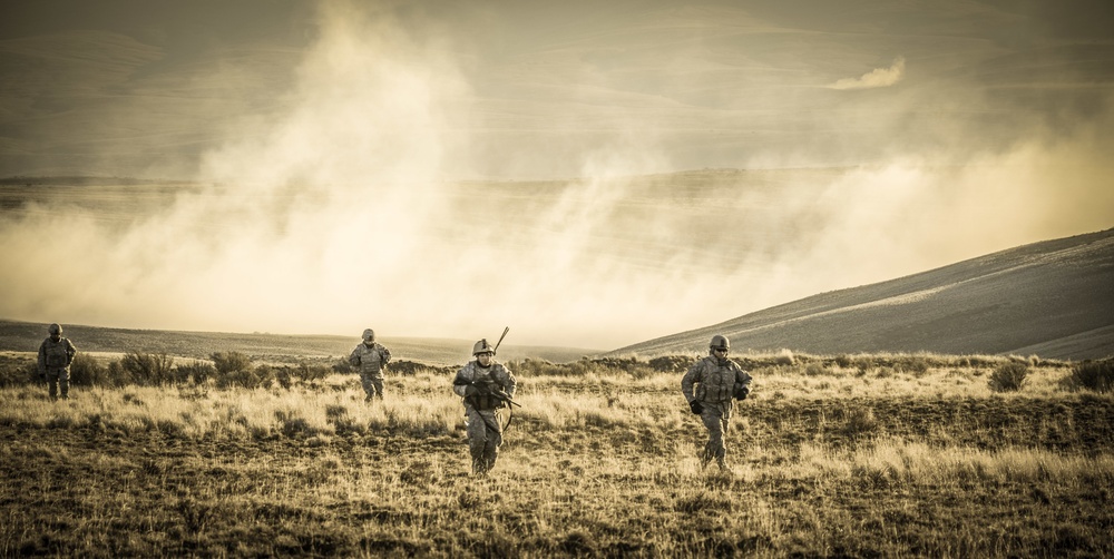 201st Battlefield Surveillance Brigade concludes largest joint exercise in unit's history with Operation Gryphon Longsword