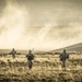 201st Battlefield Surveillance Brigade concludes largest joint exercise in unit's history with Operation Gryphon Longsword