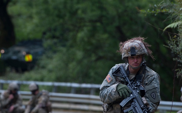 Multinational forces tackle Exercise Kiwi Koru challenges