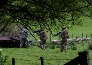 Multinational forces tackle Exercise Kiwi Koru challenges
