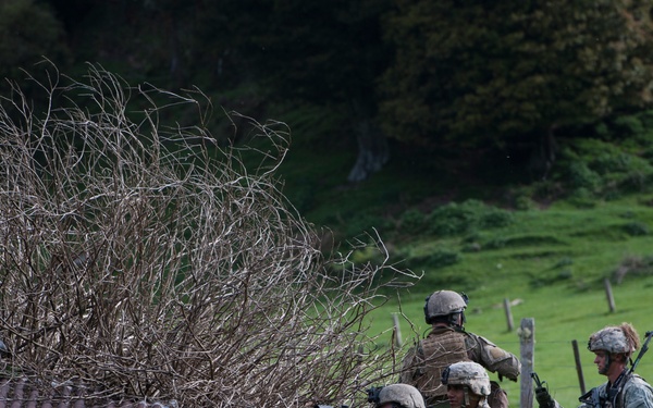 Multinational forces tackle Exercise Kiwi Koru challenges
