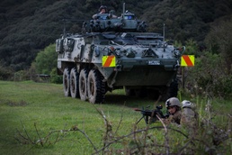 Multinational forces tackle Exercise Kiwi Koru challenges