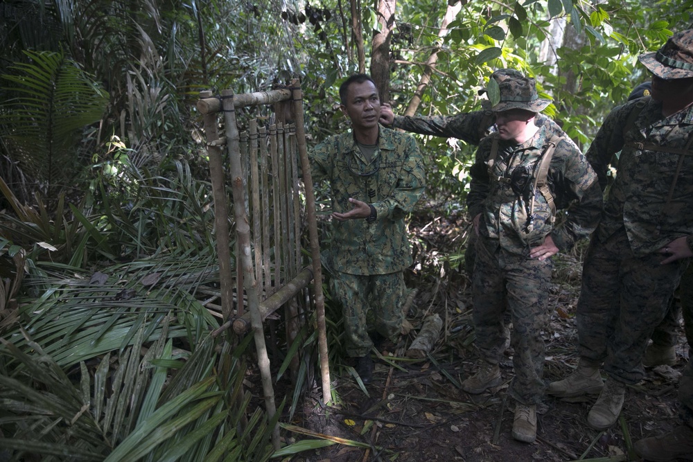 US Marines learn jungle skills from Royal Brunei Land Force