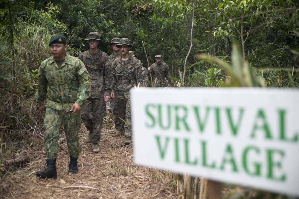 US Marines learn jungle skills from Royal Brunei Land Force