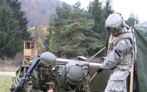 Combined Resolve III