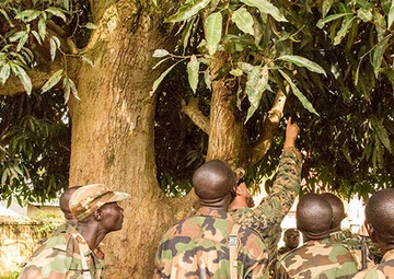 U.S. Marines aid Uganda against IED threat