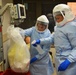 ARNORTH stands up more troops to fight Ebola stateside