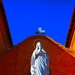 Tour de Cruces: Culture and history from behind the lens