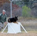 Military working dogs participate in validation exercise