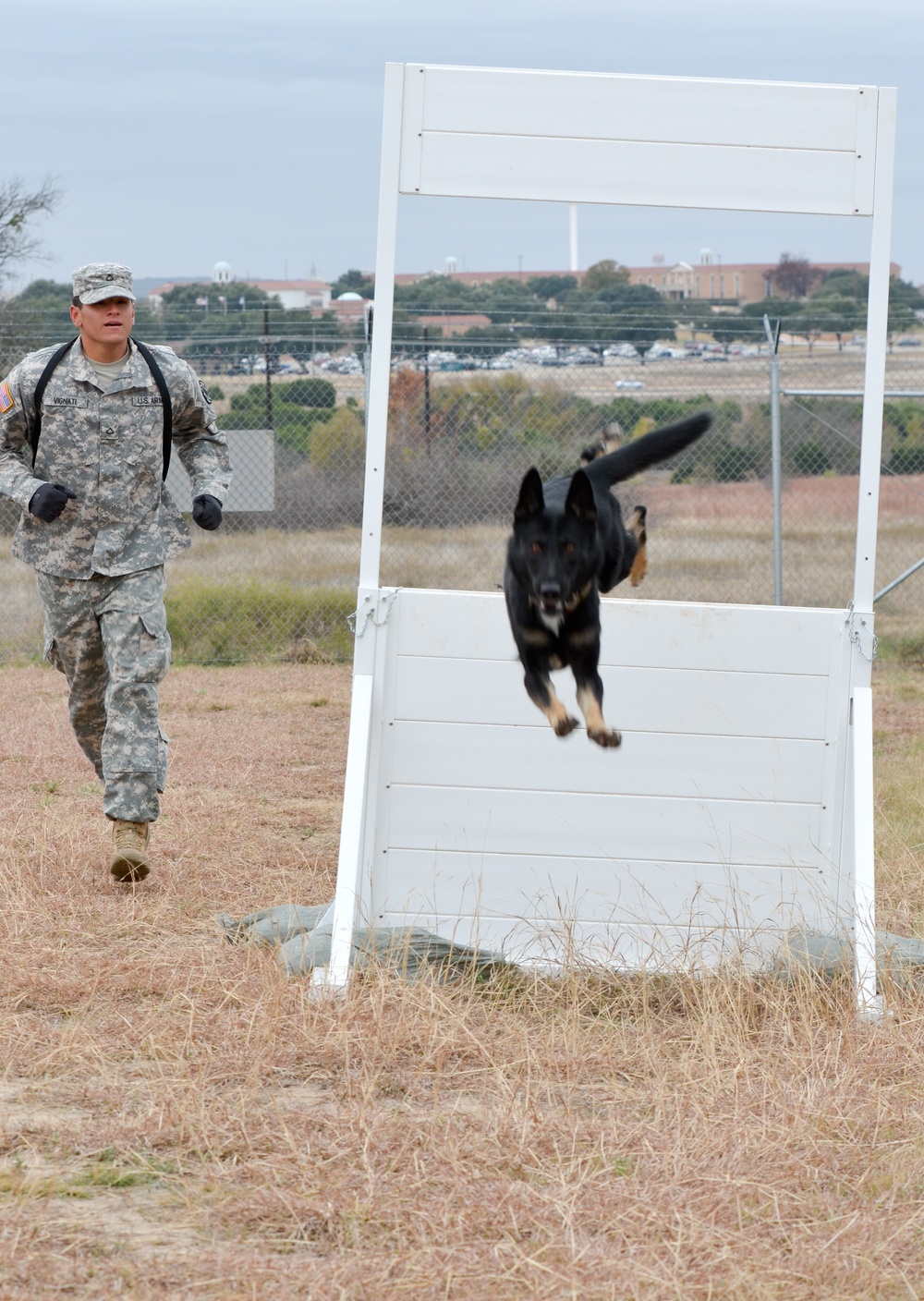 89th Military Police Brigade Dog Handlers participate in validation exercise