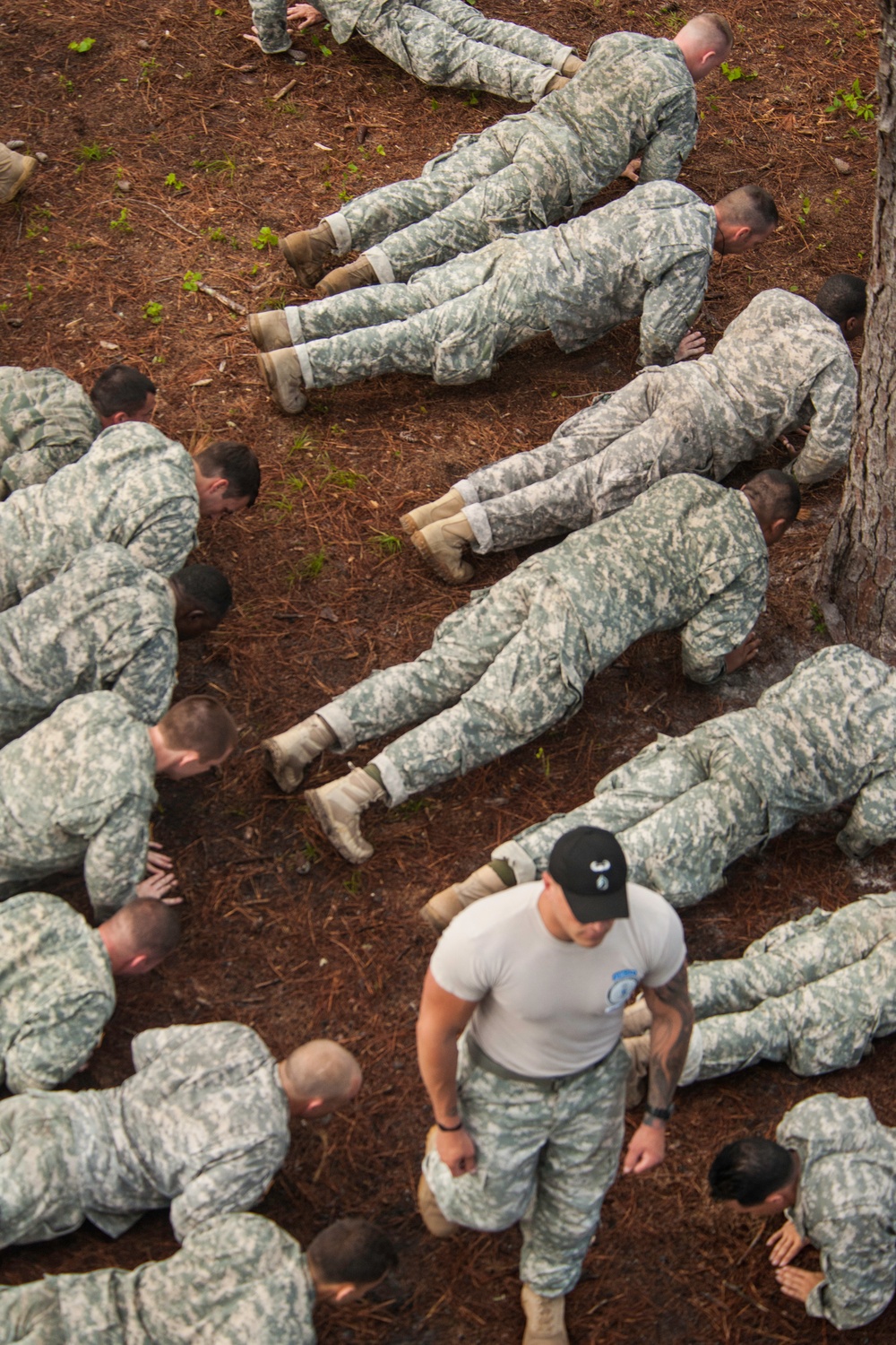 Air assault course