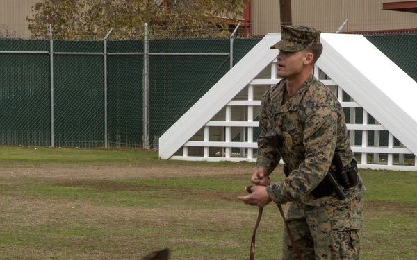 Taking a bite out of crime: military working dogs sink teeth into training