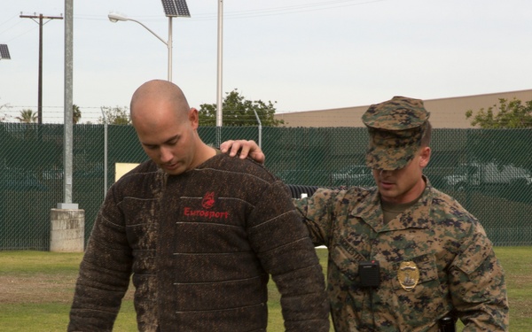 Taking a bite out of crime: military working dogs sink teeth into training