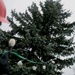 Tree brings US, German communities together