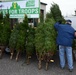 Coast Guard Training Center receives Trees for Troops