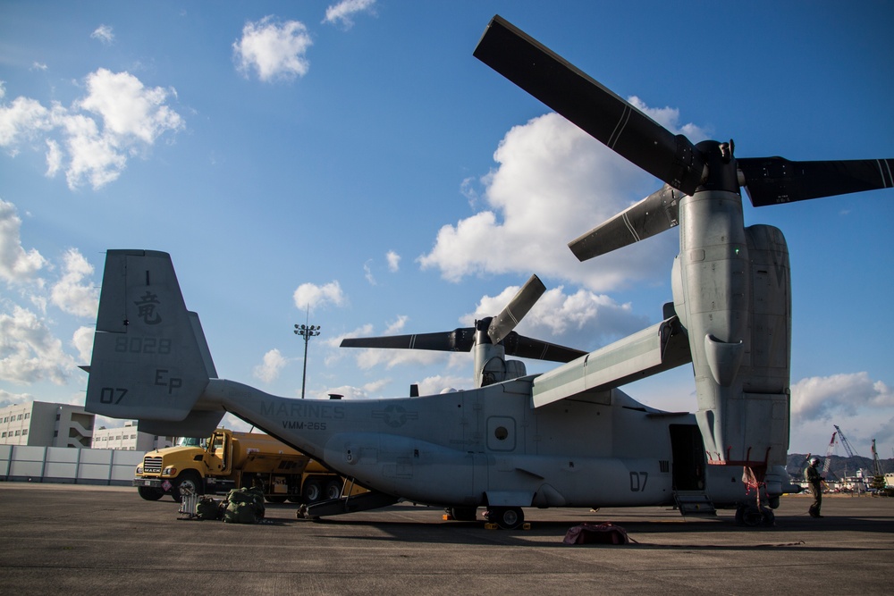 VMM-265 lands aboard MCAS Iwakuni, begins preparation for support of Exercise Forest Light