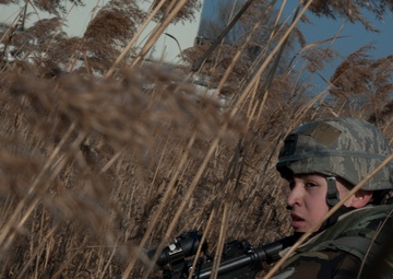A soldier in woodland camouflage uniform and helmet is positioned in tall dry reeds or marsh grass, holding an assault rifle with an optic sight. The individual appears to be conducting a field training exercise or patrol in a wetland or marshy environment. A structure is partially visible in the background through the vegetation.