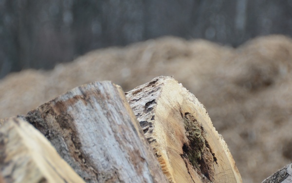 Fort Indiantown Gap begins firewood and wood chip sales