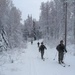 Soldiers cross-country skiing