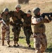 Marines Conduct Bilateral Training
