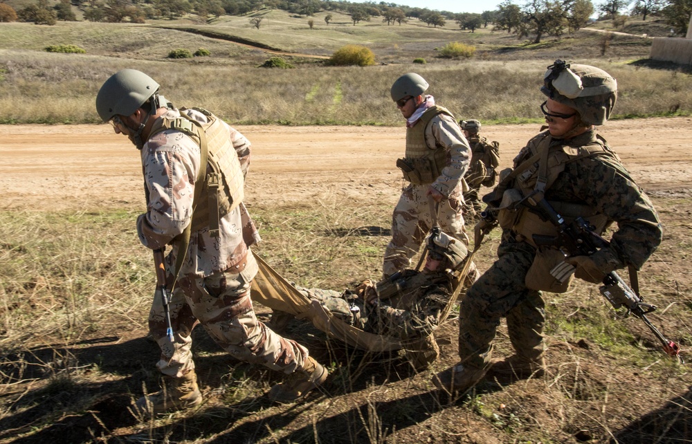 Marines Conduct Bilateral Training