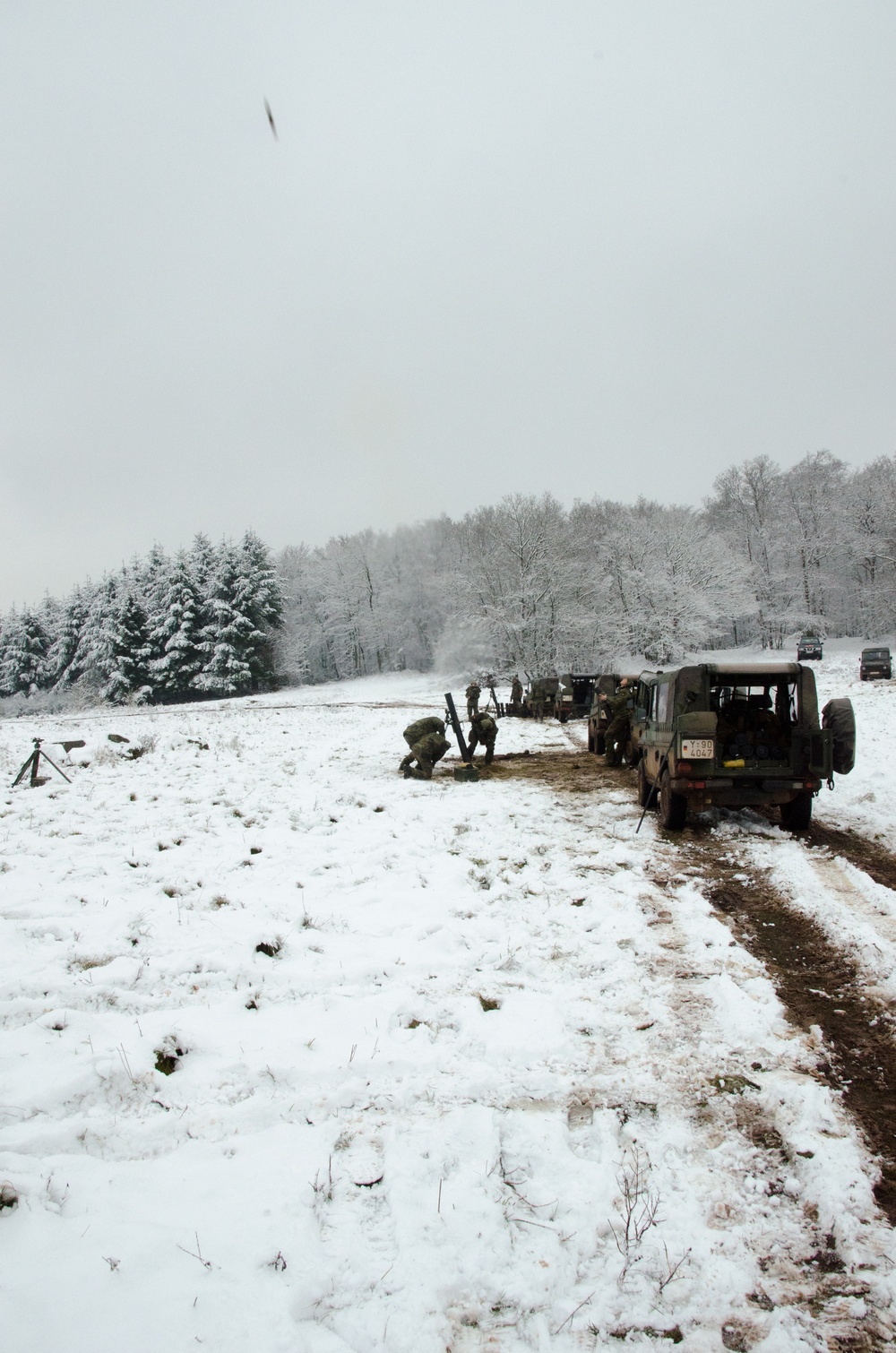 39th Transportation Company conduct training with German Airborne from Fallschirmjägerbataillon 263 at Baumholder Military Training Area, Baumholder, Germany