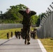 Competition of best: 3rd LE Marines struggle, endure and win