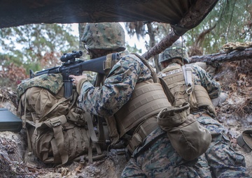 Back to basics: Combat engineers conduct platoon defense exercise