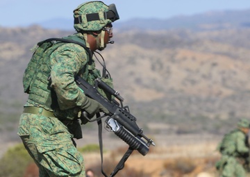 Marines team with Singaporean Armed Forces for Valiant Mark 14.2