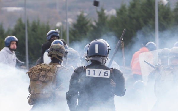 U.S. Marines, French Gendarmes conduct crowd and riot control training