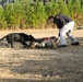 Dog handlers display K-9 training to NJROTC