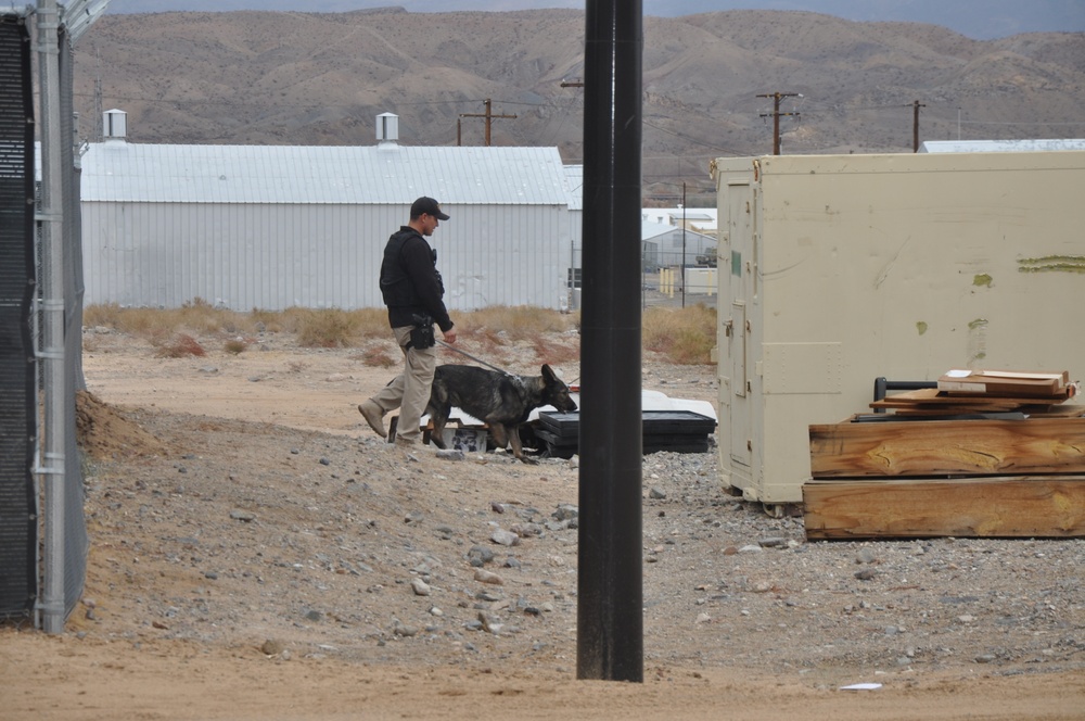 K-9 Officer Uff retires