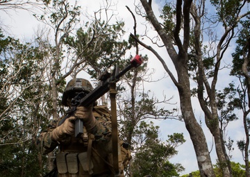 Echo Company Helo Raid