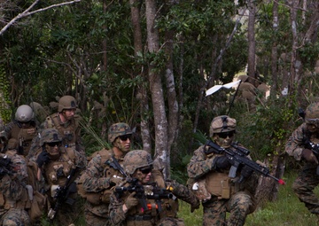 Echo Company Helo Raid