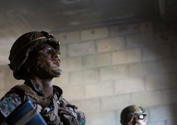 Echo Company Helo Raid